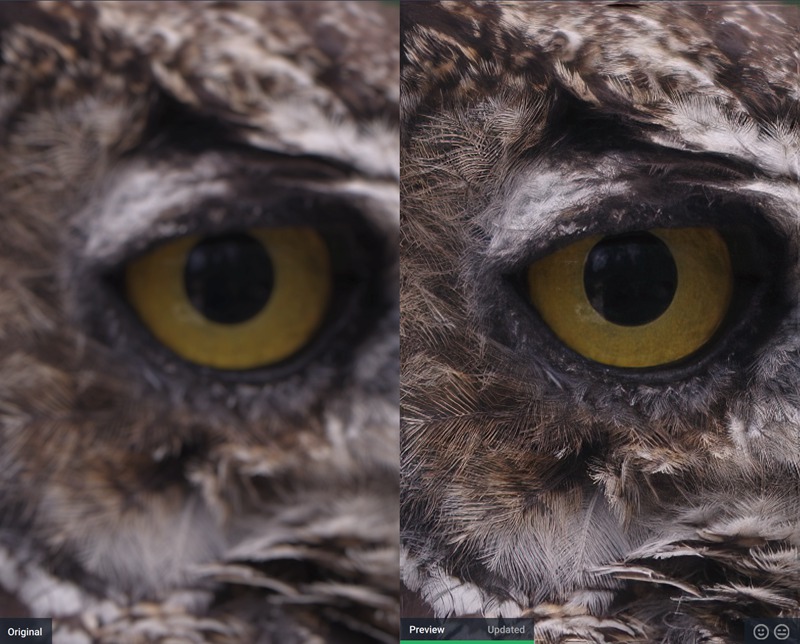 PS插件:抖动失焦模糊修复图片Sharpen清晰AI插件win汉化3.2.1mac topaz 插件预设 第4张-素材湾丨精选海外优质设计素材资源 PS插件:抖动失焦模糊修复图片Sharpen清晰AI插件win汉化3.2.1mac topaz 插件预设 sucaiwan.com