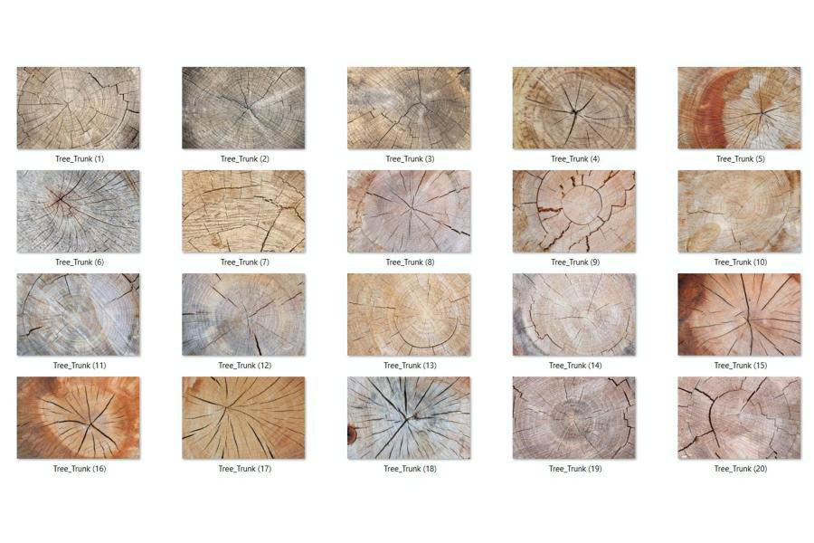 背景素材-20款树墩树干年轮纹理材质背景图片素材 图片素材 sucaiwan.com