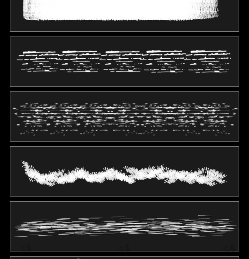 34款森林剪影植物树叶灌木花朵草外景水墨插画手绘基础ps笔刷绘画素材 笔刷资源 sucaiwan.com
