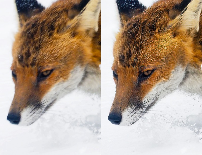 PS插件:抖动失焦模糊修复图片Sharpen清晰AI插件win汉化3.2.1mac topaz 插件预设 第2张-素材湾丨精选海外优质设计素材资源 PS插件:抖动失焦模糊修复图片Sharpen清晰AI插件win汉化3.2.1mac topaz 插件预设 sucaiwan.com