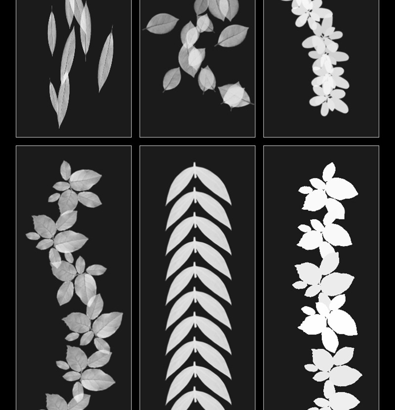 34款森林剪影植物树叶灌木花朵草外景水墨插画手绘基础ps笔刷绘画素材 笔刷资源 sucaiwan.com