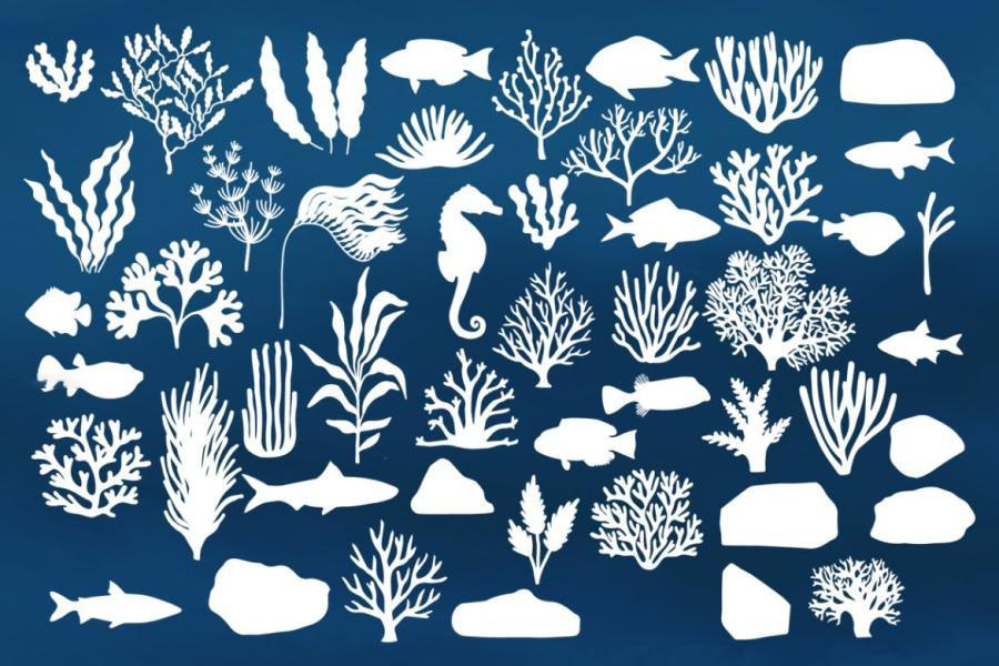 Procreate笔刷-海底世界海洋生物海藻类图案笔刷 笔刷资源 sucaiwan.com