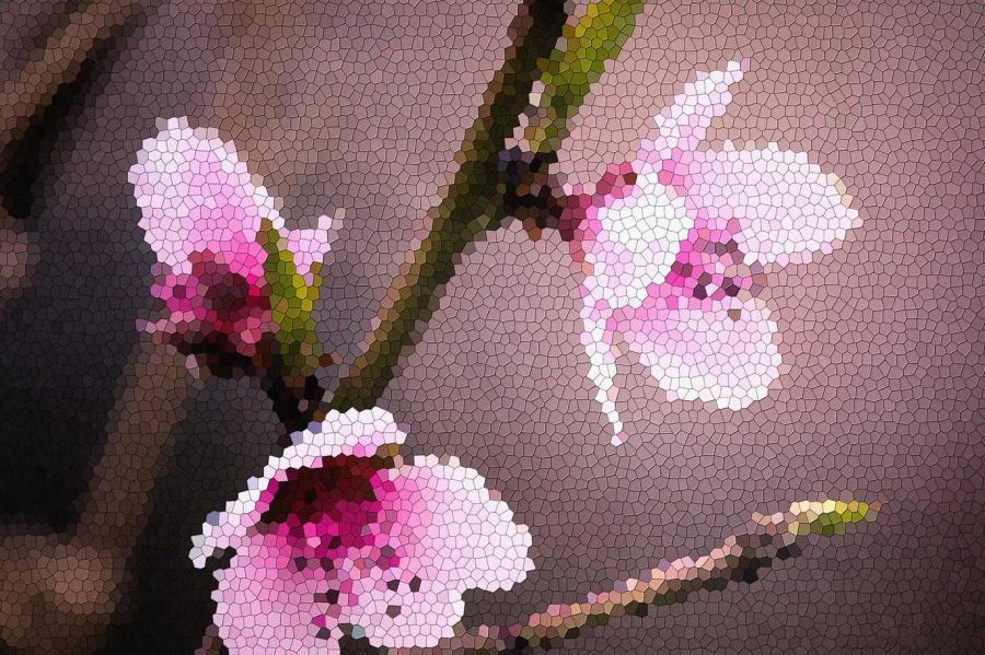 PSD模板-马赛克拼图照片效果PSD图层样式模板 图片素材 sucaiwan.com