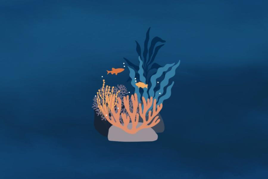 Procreate笔刷-海底世界海洋生物海藻类图案笔刷 笔刷资源 sucaiwan.com