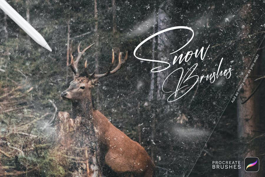 Procreate笔刷-冬季雪景雪花下雪插画设计笔刷素材 笔刷资源 sucaiwan.com
