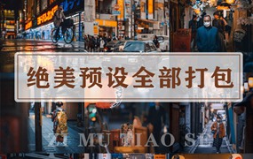 超全capture one样式日系知名摄影胶片滤镜C1 飞思预设合集