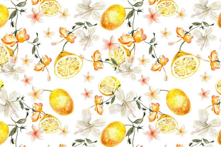 PNG素材-水彩热带动植物主题元素设计插画PNG素材 图片素材 sucaiwan.com