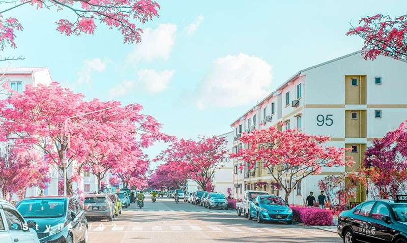 3种日系动漫风色调PS动作 插件预设 sucaiwan.com