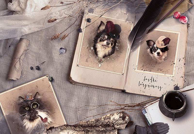 110+复古手工艺品拼贴手帐PNG免抠素材 图片素材 sucaiwan.com