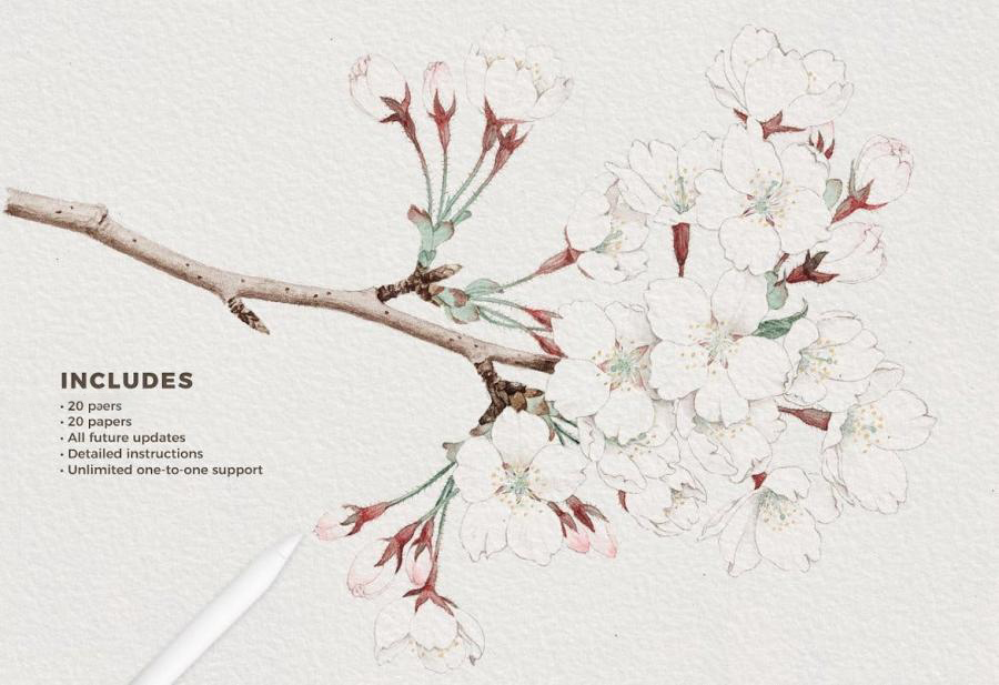 背景素材-油画布帆布水彩纸张肌理纹理的背景素材 图片素材 sucaiwan.com