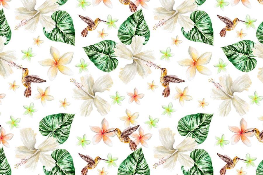 PNG素材-水彩热带动植物主题元素设计插画PNG素材 图片素材 sucaiwan.com