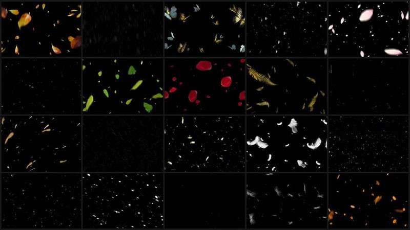 20个高清落叶、花瓣、下雪雨滴免抠素材PNG 图片素材 sucaiwan.com