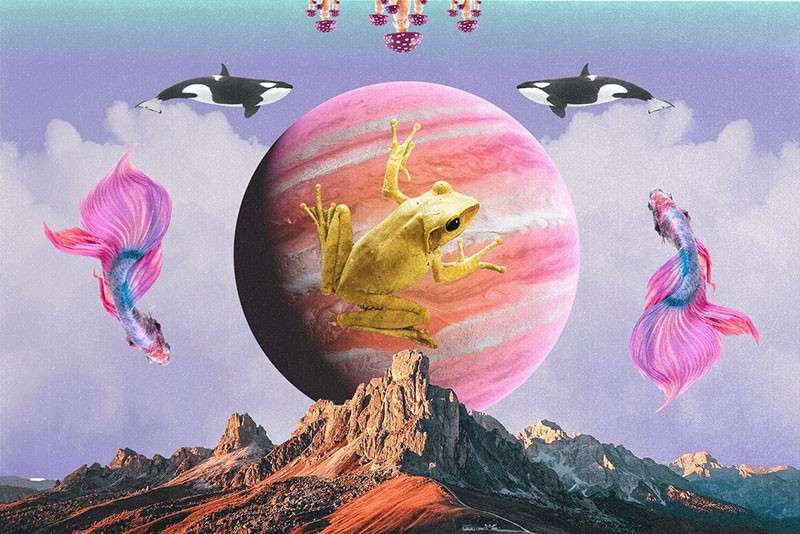 250+星座动物占星术拼贴手帐PNG免抠素材 图片素材 sucaiwan.com