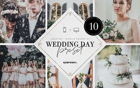 北欧ins婚纱照LR预设