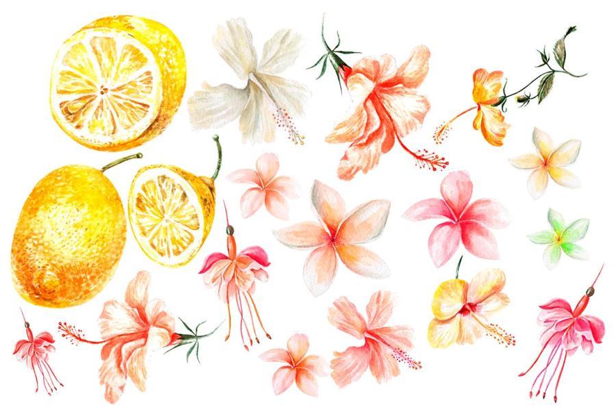 PNG素材-水彩热带动植物主题元素设计插画PNG素材 图片素材 sucaiwan.com