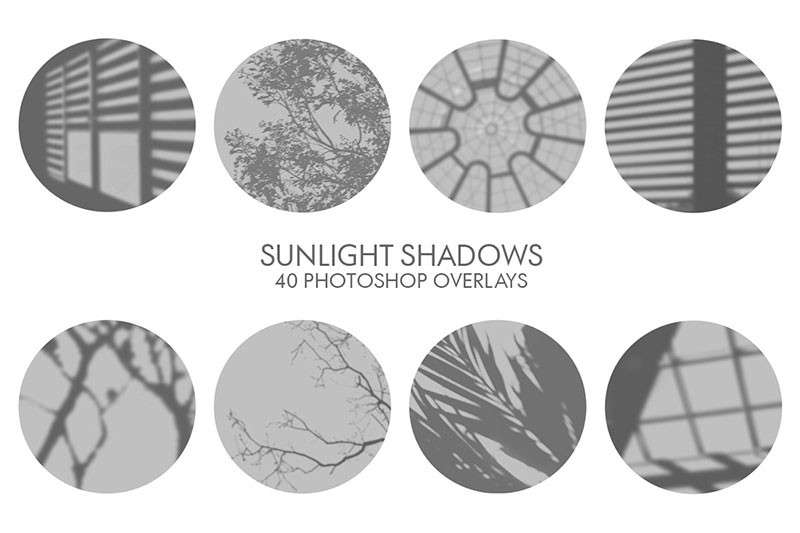 植物光影图片叠加素材PNG 图片素材 sucaiwan.com