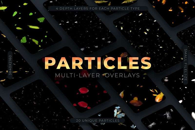 20个高清落叶、花瓣、下雪雨滴免抠素材PNG 图片素材 sucaiwan.com