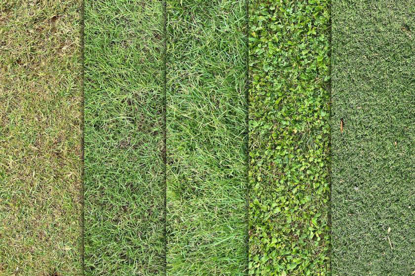 背景素材-绿色草坪草地纹理效果背景图片素材 图片素材 sucaiwan.com