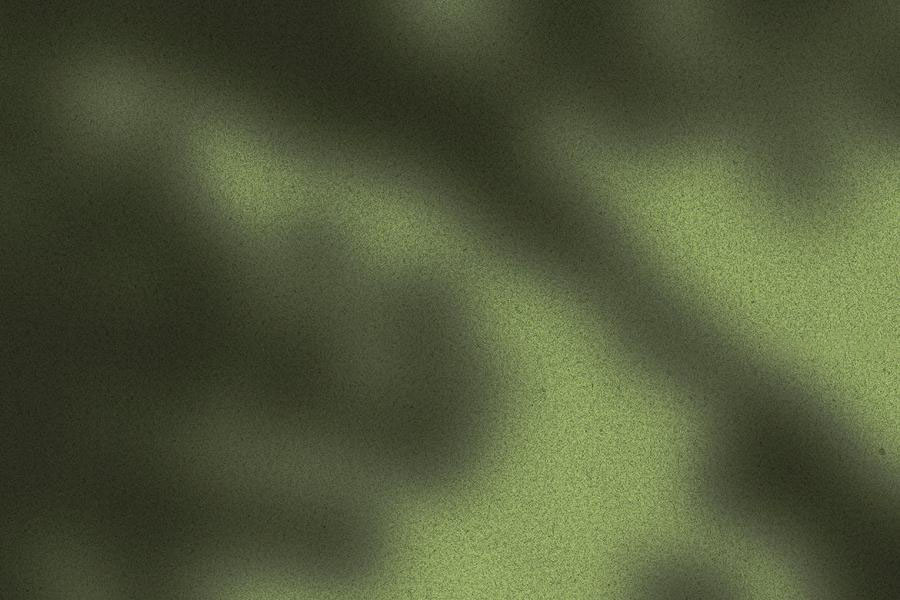 PNG素材-多种植物阴影背景叠加PNG素材 图片素材 sucaiwan.com