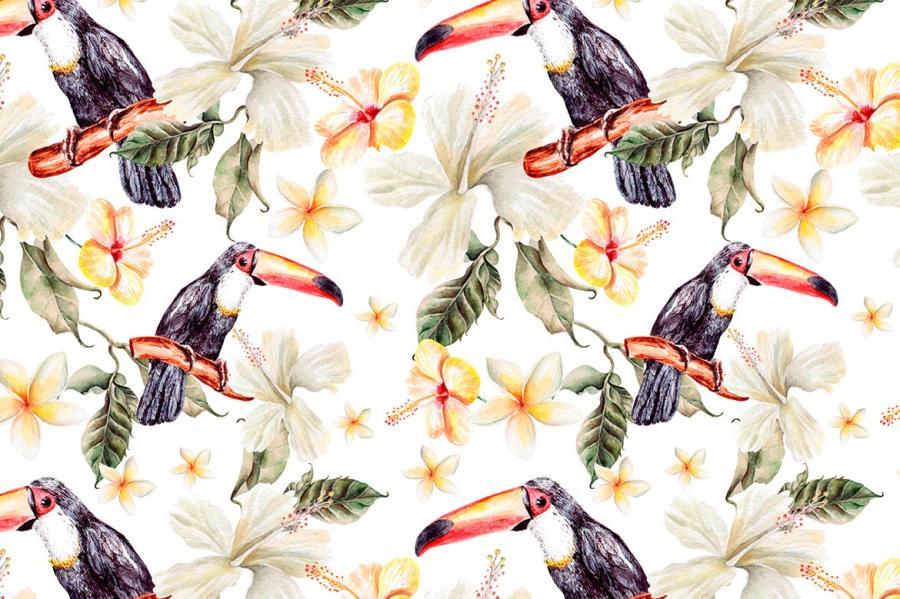 PNG素材-水彩热带动植物主题元素设计插画PNG素材 图片素材 sucaiwan.com