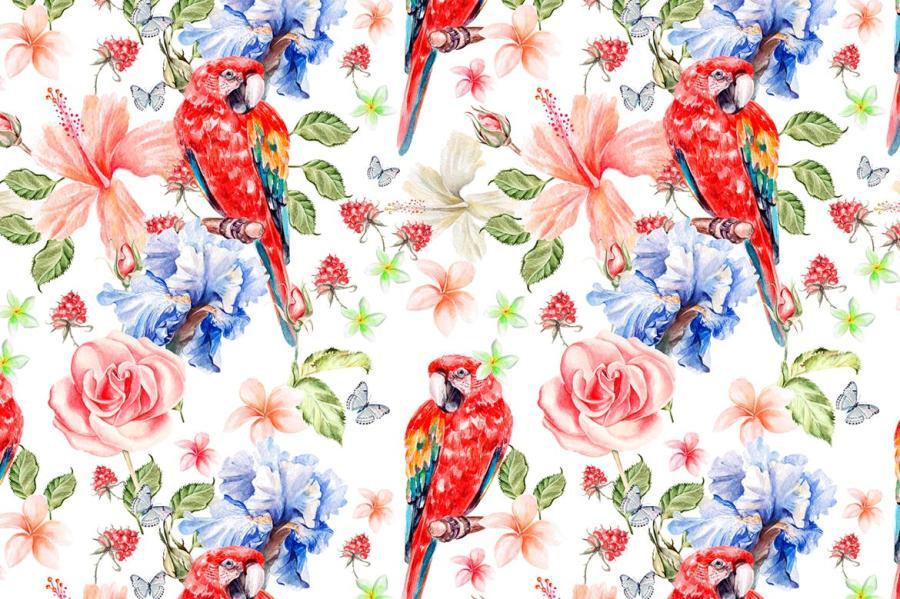 PNG素材-水彩热带动植物主题元素设计插画PNG素材 图片素材 sucaiwan.com