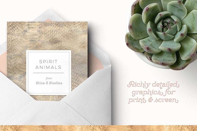 12张动植物金色纹理背景素材JPG 图片素材 sucaiwan.com