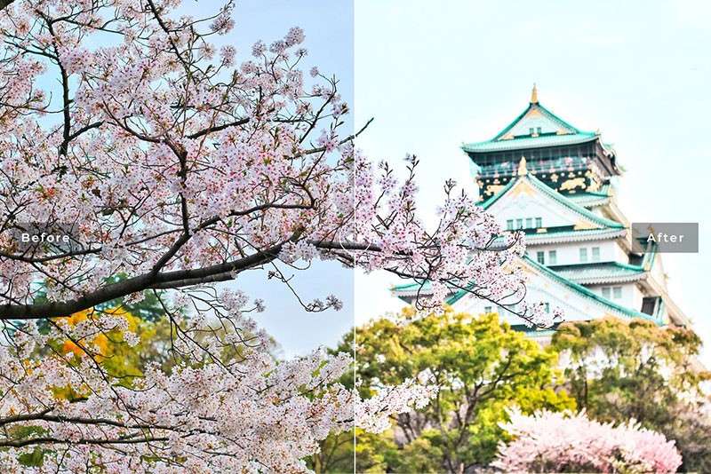 日式风景调色LR预设和PS动作 插件预设 sucaiwan.com