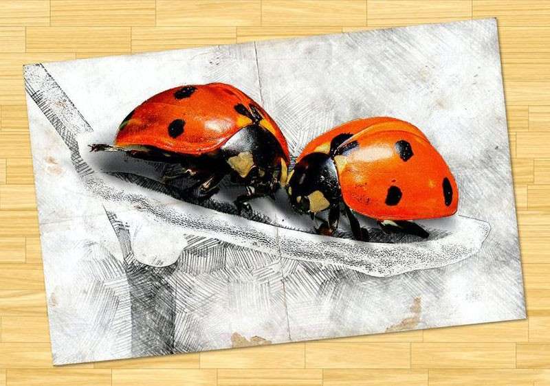 3D素描视觉效果PS动作+视频教程 插件预设 sucaiwan.com