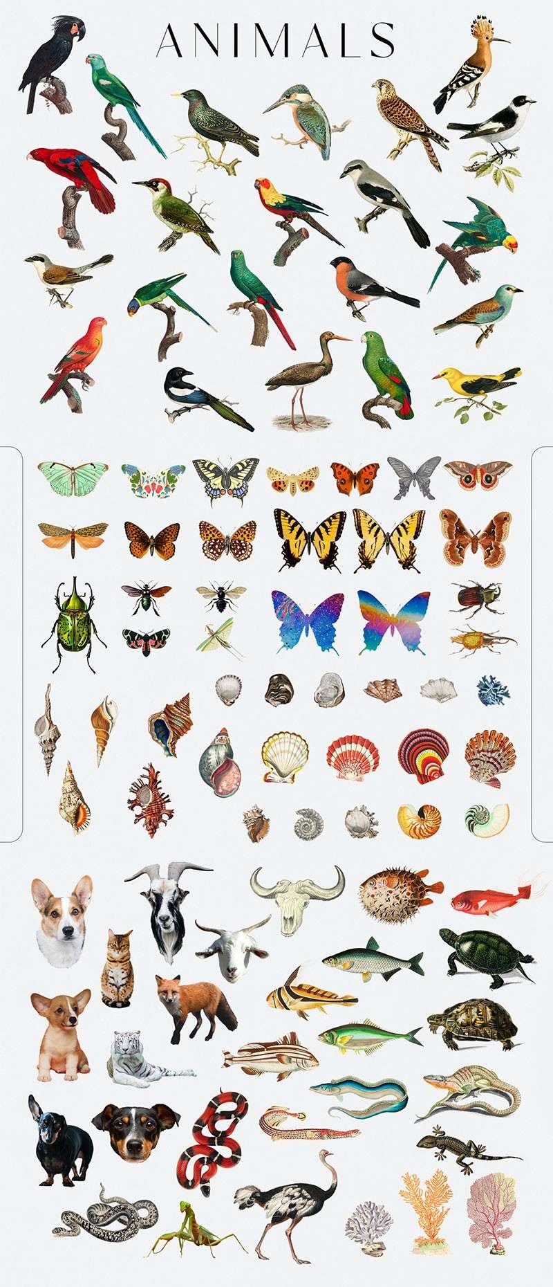 400+超现实梦幻拼贴手帐PNG免抠素材 图片素材 sucaiwan.com