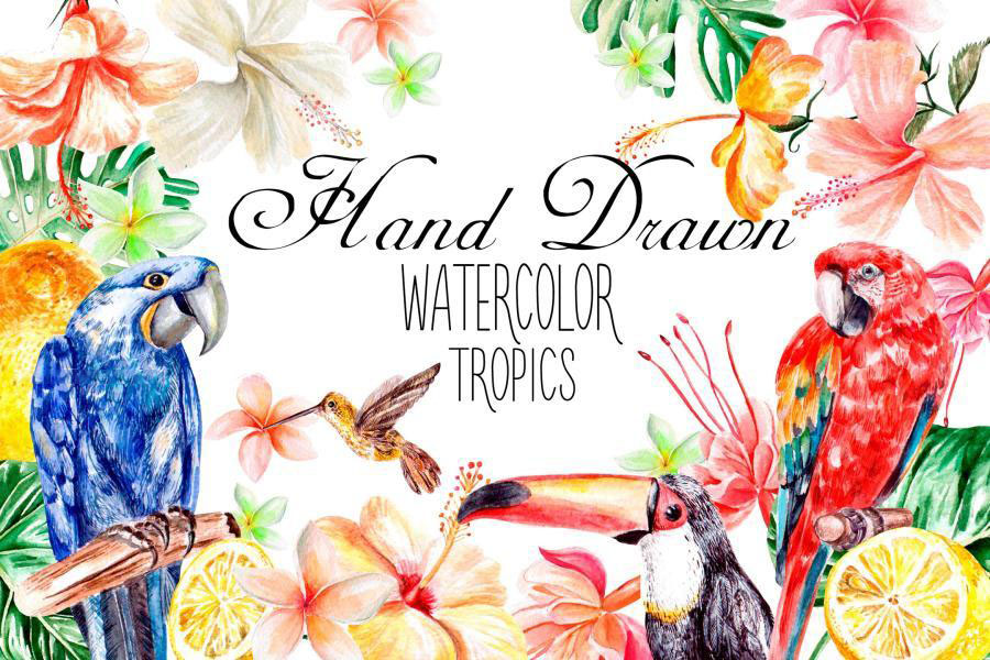 PNG素材-水彩热带动植物主题元素设计插画PNG素材 图片素材 sucaiwan.com