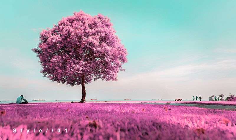 3种日系动漫风色调PS动作 插件预设 sucaiwan.com