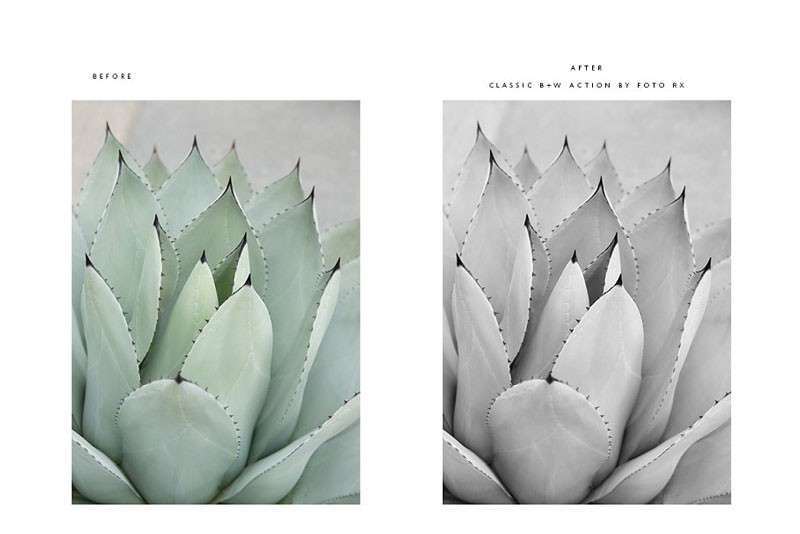 专业级黑白相片滤镜效果Photoshop动作 插件预设 第7张-素材湾丨精选海外优质设计素材资源 专业级黑白相片滤镜效果Photoshop动作 插件预设 sucaiwan.com