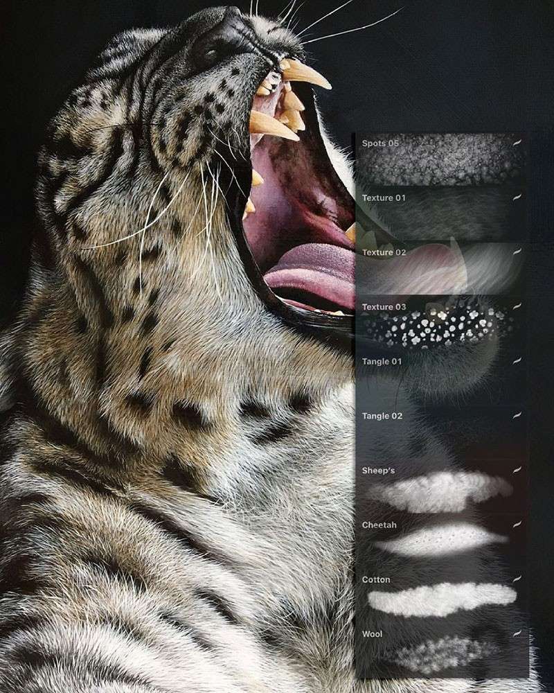Procreate老虎皮毛纹理定制笔刷 笔刷资源 sucaiwan.com