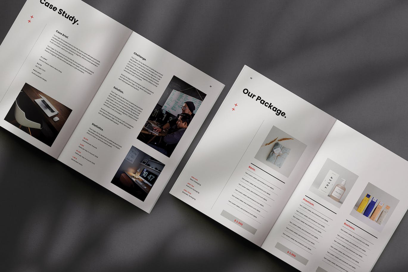 作品集/小册子/提案模板 Proposal Template 样机素材 sucaiwan.com