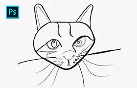 13个油墨插画PS手绘笔刷