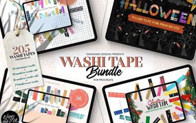 205个Procreate手帐胶带笔刷套装