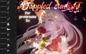 树叶太阳光斑Procreate笔刷