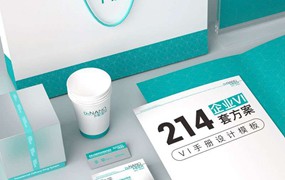 214套企业VI手册设计模板全套方案