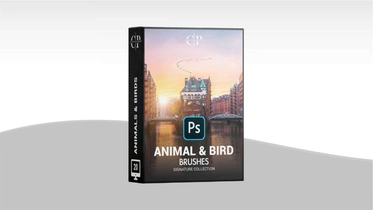 12套自然风景摄影Photoshop笔刷打包下载 笔刷资源 第12张-素材湾丨精选海外优质设计素材资源 12套自然风景摄影Photoshop笔刷打包下载 笔刷资源 sucaiwan.com