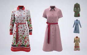 连衣裙服装图案设计展示样机PSD模板