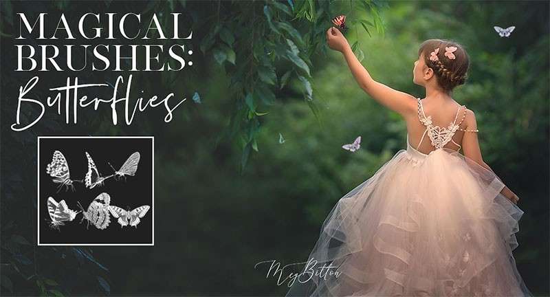 6个蝴蝶剪影PS笔刷 笔刷资源 sucaiwan.com