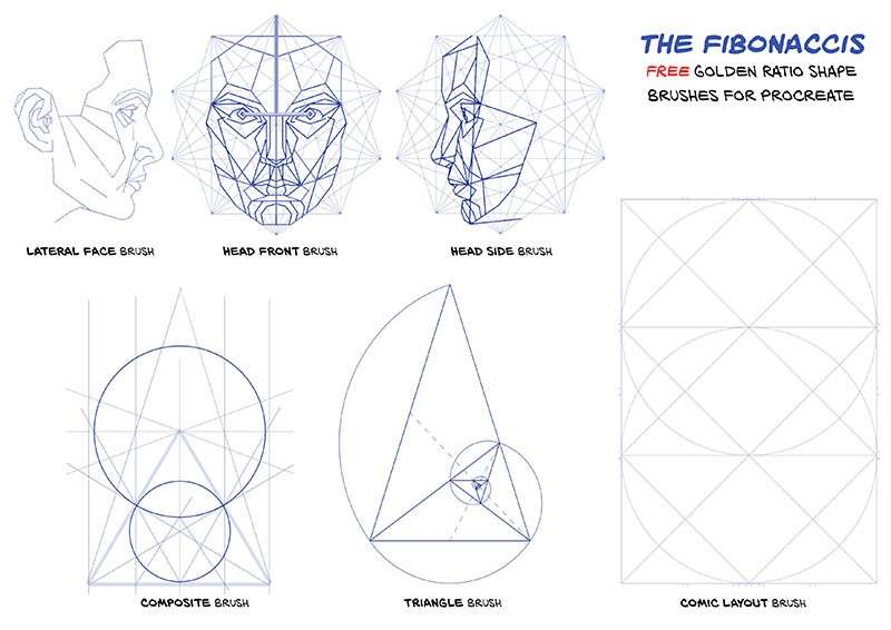 10+人脸黄金比例Procreate笔刷 笔刷资源 sucaiwan.com