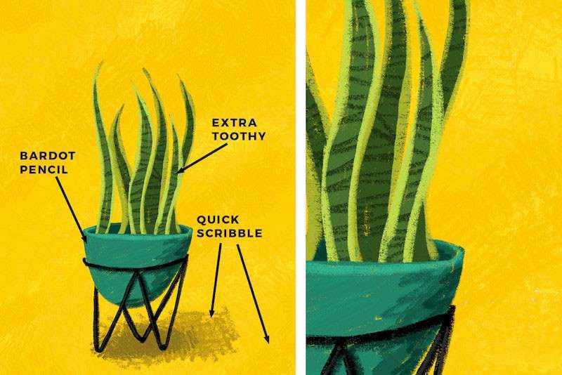 14个彩铅素描Procreate笔刷 笔刷资源 第3张-素材湾丨精选海外优质设计素材资源 14个彩铅素描Procreate笔刷 笔刷资源 sucaiwan.com