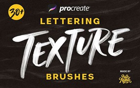 32个签名设计Procreate笔刷