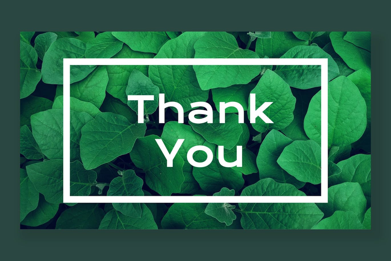 园林绿化和园艺PPT模板下载 Plantia – Landscaping Powerpoint Template 幻灯图表 sucaiwan.com