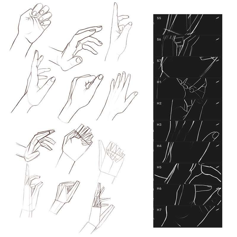 手部线稿速写Procreate笔刷 笔刷资源 sucaiwan.com
