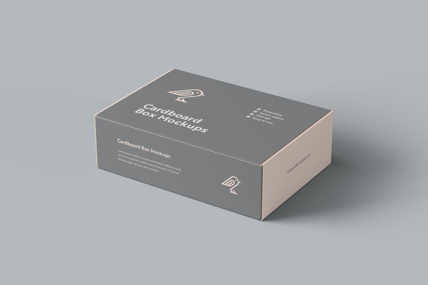 纸板箱包装设计样机模板 Cardboard Box Mockups 样机素材 sucaiwan.com