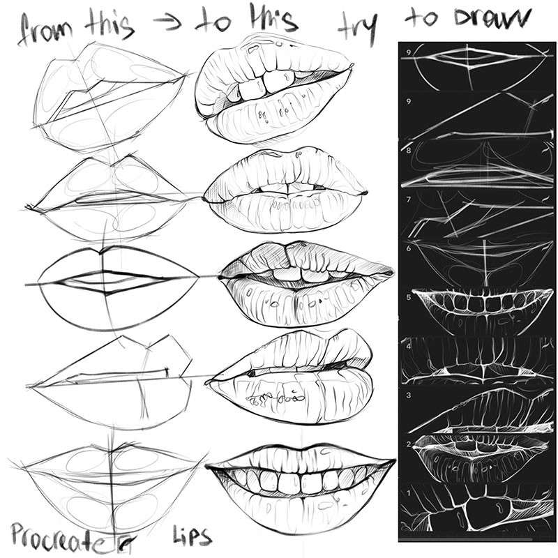 Procreate嘴唇辅助线笔刷 笔刷资源 sucaiwan.com