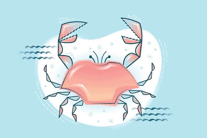 邮票卡通轮廓线和填充纹理AI笔刷 笔刷资源 sucaiwan.com