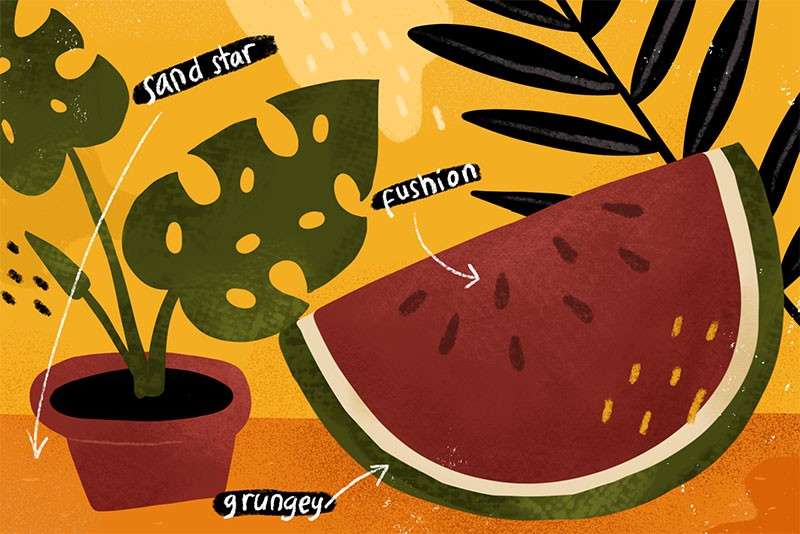 12个肌理噪点Procreate笔刷 笔刷资源 sucaiwan.com